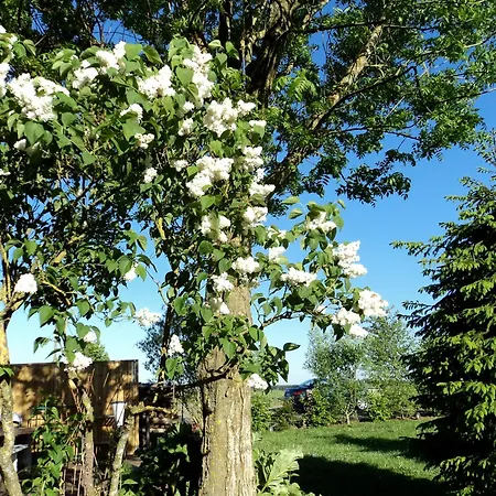 La Niouche Bed & Breakfast 3*