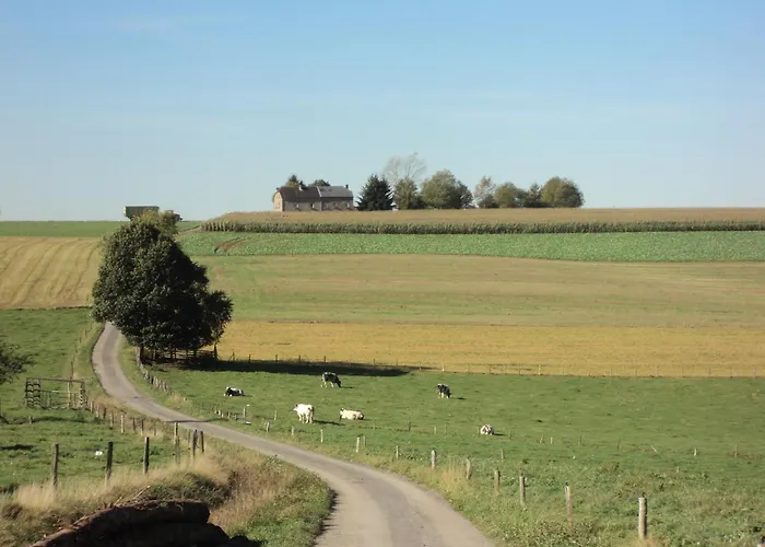 La Niouche Oda ve Kahvaltı La-Roche-en-Ardenne