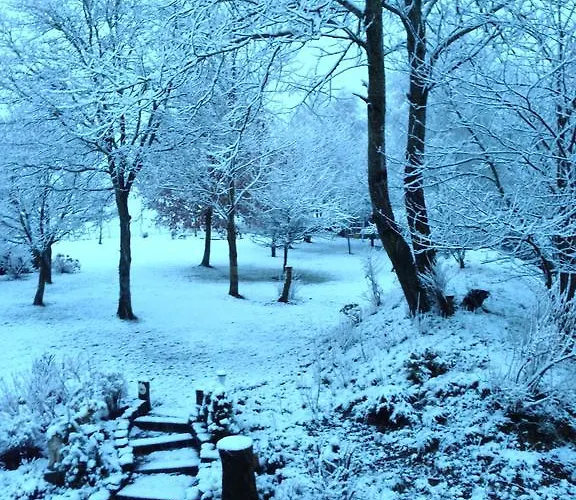 Oda ve Kahvaltı La Niouche 3*