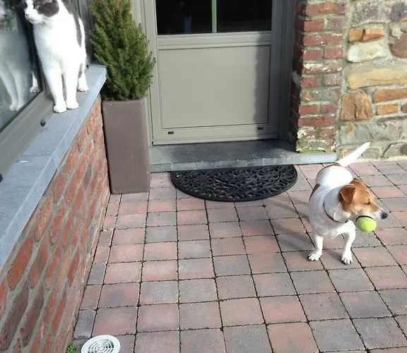 La Niouche La-Roche-en-Ardenne